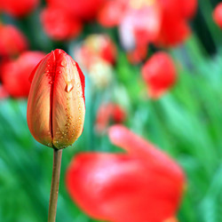 Similar image 881855