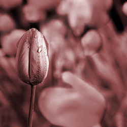 Similar image 881856