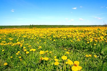 Similar image 881858