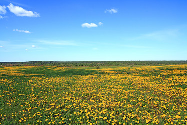 Similar image 881861