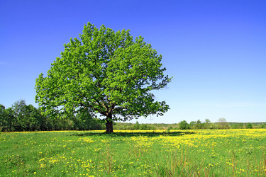 Similar image 881866