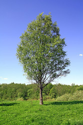 Similar image 881869