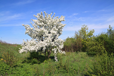 Similar image 881871