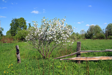 Similar image 881875