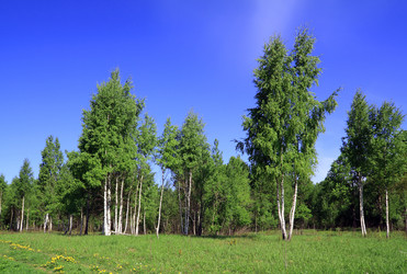 Similar image 881880