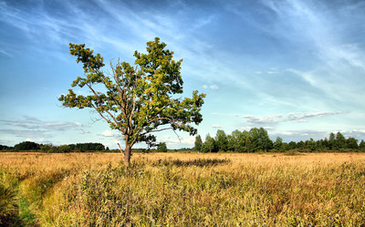 Similar image 881988