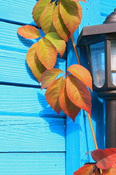 Similar image 882020