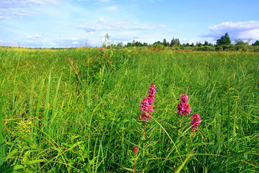 Similar image 882048