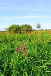 Similar image 882049