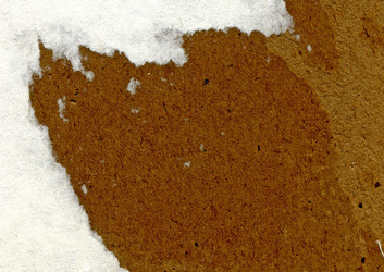 Similar image 882059