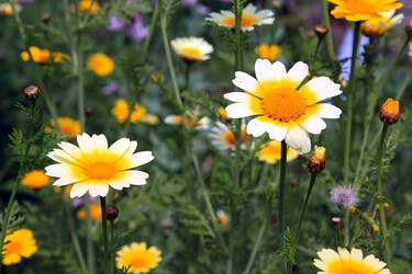 Similar image 882078