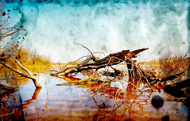 Similar image 882091