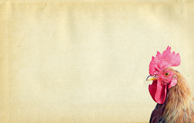 Similar image 882098