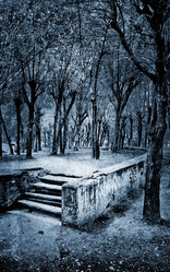 Similar image 882105