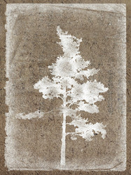 Similar image 882110