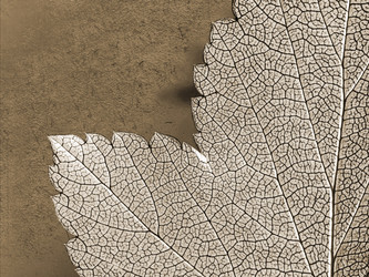 Similar image 882113