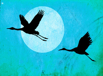 Similar image 882114