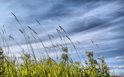 Similar image 882142