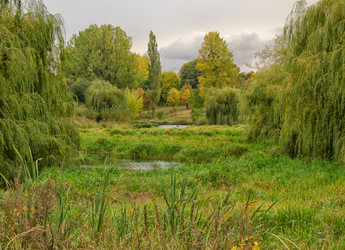 Similar image 882147