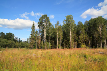 Similar image 882156