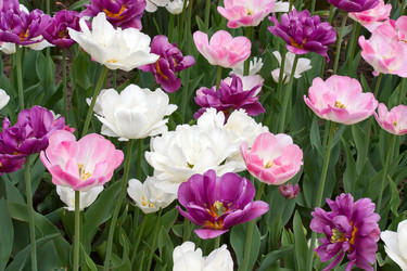 Similar image 882168