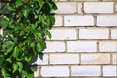 Similar image 882180