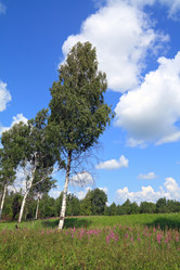 Similar image 882225