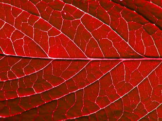 Similar image 882256