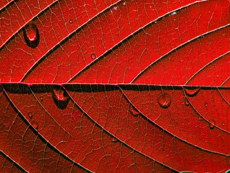 Similar image 882257