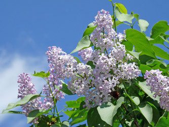 Similar image 882263