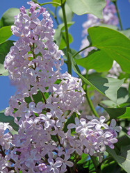 Similar image 882265