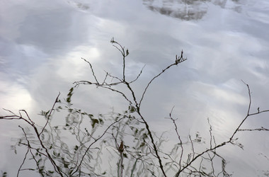 Similar image 882305