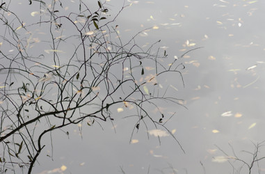 Similar image 882306