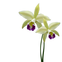 Similar image 882308