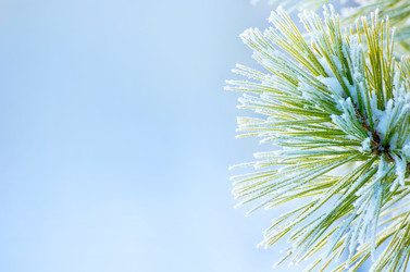 Similar image 882317