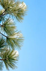 Similar image 882318