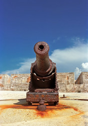 Similar image 882464