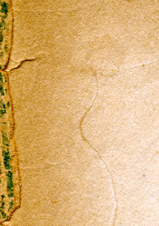 Similar image 882484