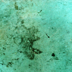 Similar image 882487