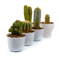 Similar image 882491