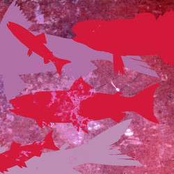 Similar image 882492