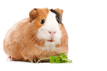 Similar image 882495