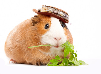 Similar image 882498