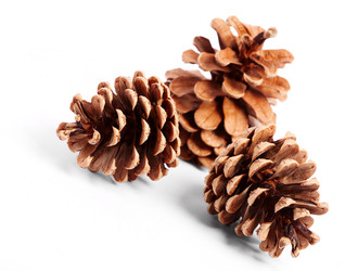 Similar image 882511