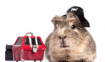 Similar image 882513