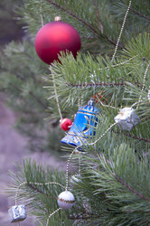 Similar image 882576