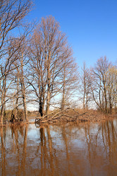 Similar image 882618