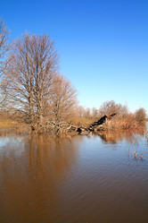 Similar image 882628