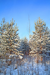 Similar image 882636