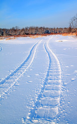 Similar image 882658